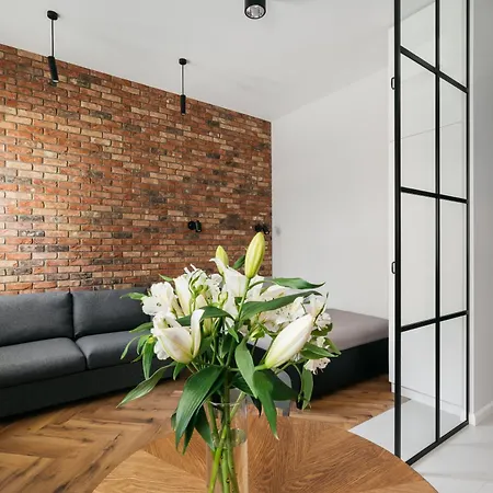 Apartment Native Dluga 24i3 Krakow